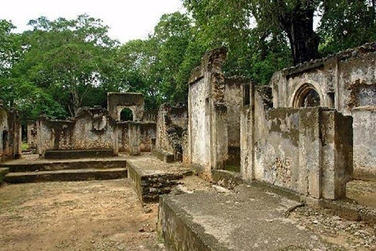 Gedi Ruins