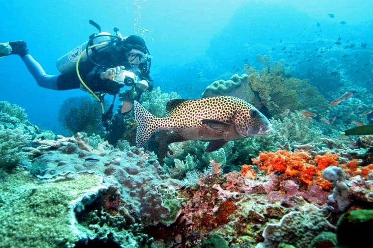 Scuba Diving, Watamu
